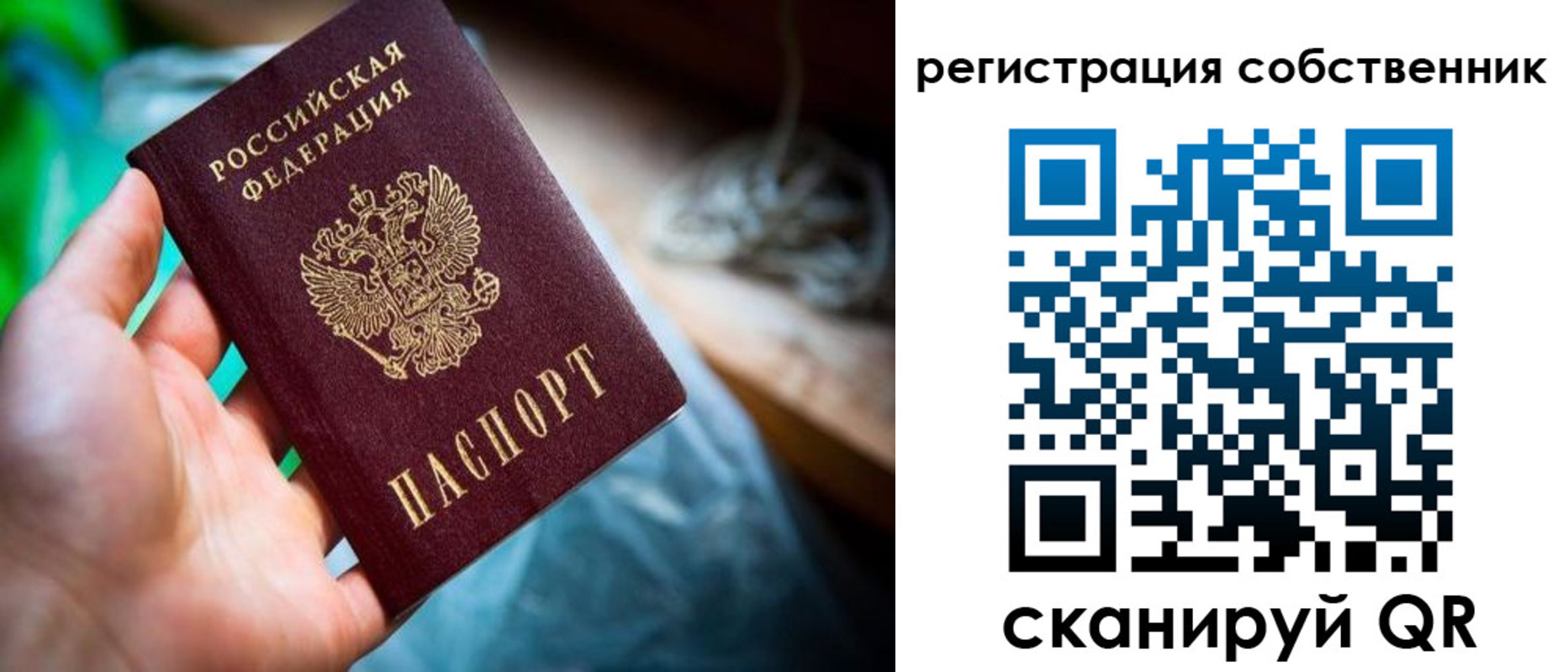 прописка гарантия в Геленджике
